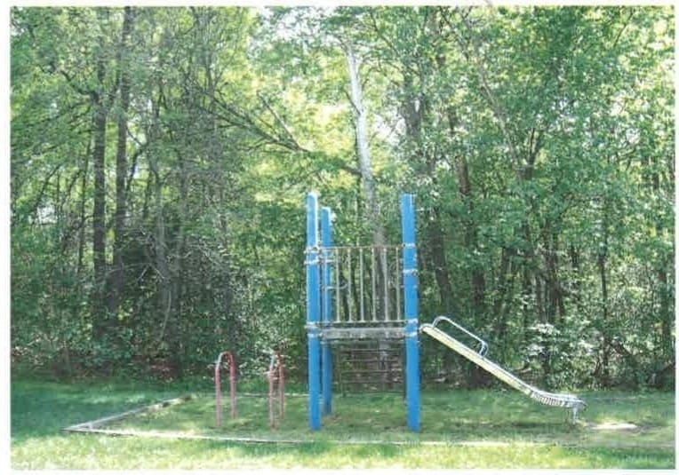 The community playground at Pineview Apartments, with a slide and climbing frame at the edge of the trees